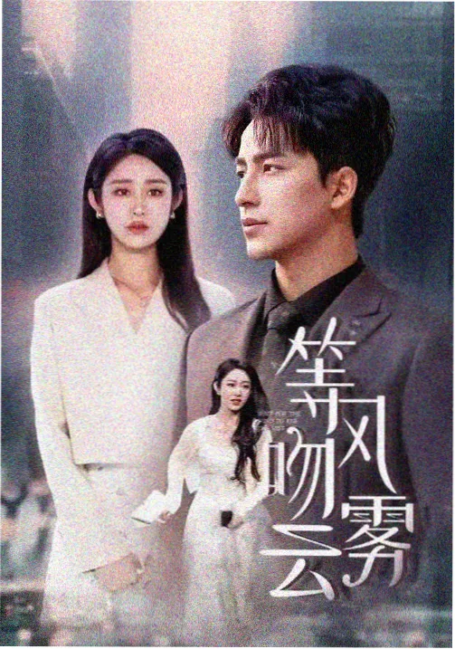静海回声剧集中文字幕版本卡片